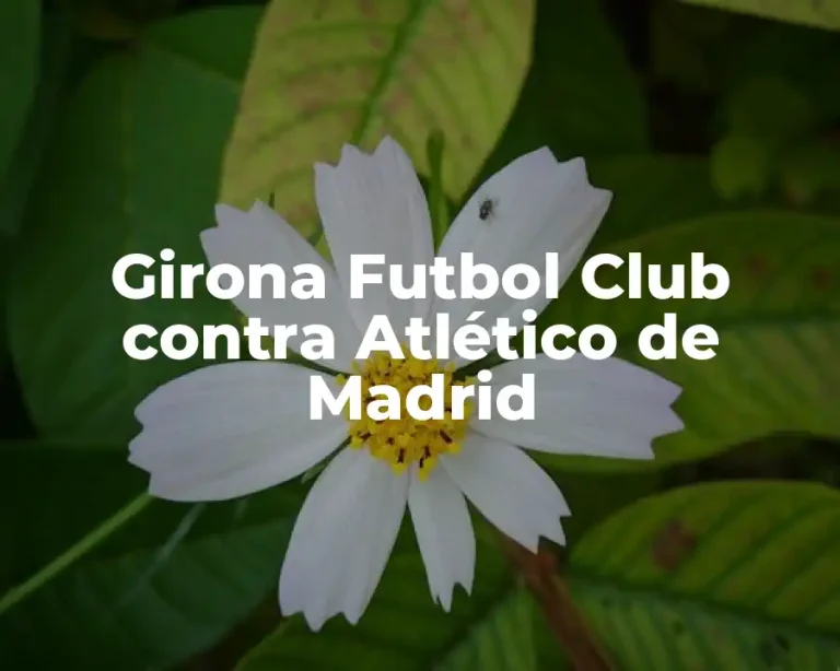 Girona Futbol Club contra Atlético de Madrid