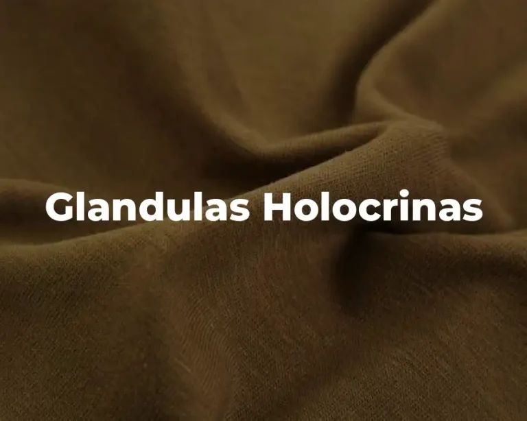 Glandulas Holocrinas