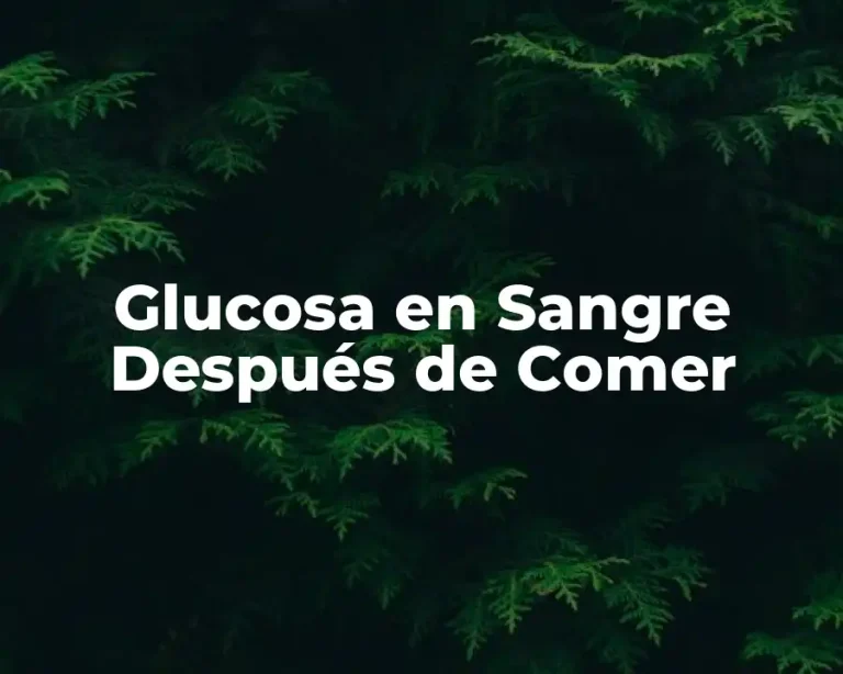 Glucosa en Sangre Después de Comer