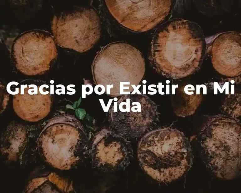 Gracias por Existir en Mi Vida