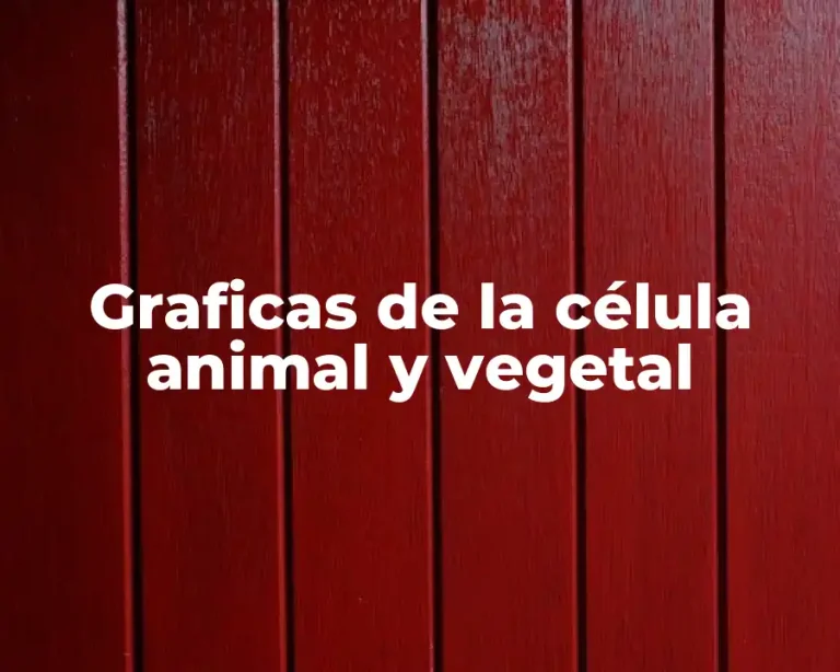 Graficas de la célula animal y vegetal