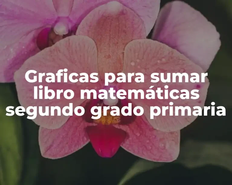 Graficas para sumar libro matemáticas segundo grado primaria