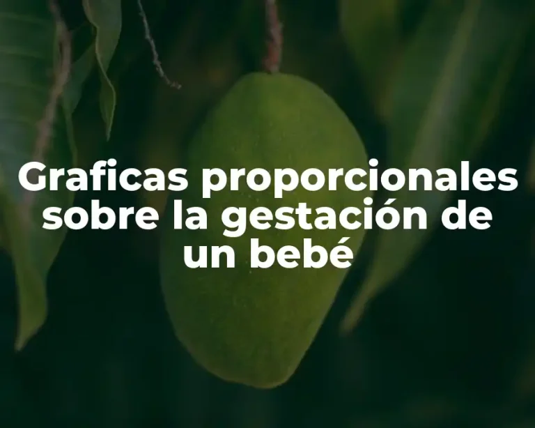 Graficas proporcionales sobre la gestación de un bebé