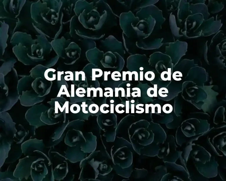 Gran Premio de Alemania de Motociclismo