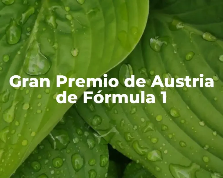 Gran Premio de Austria de Fórmula 1