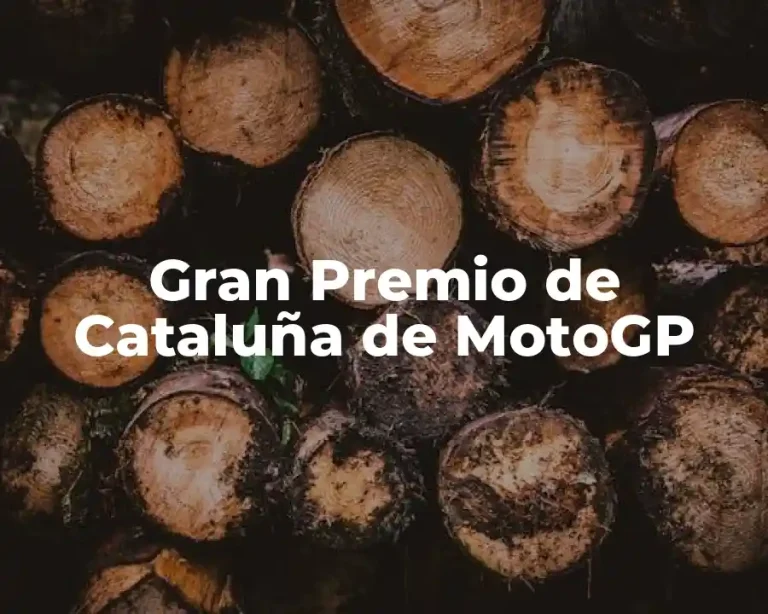 Gran Premio de Cataluña de MotoGP
