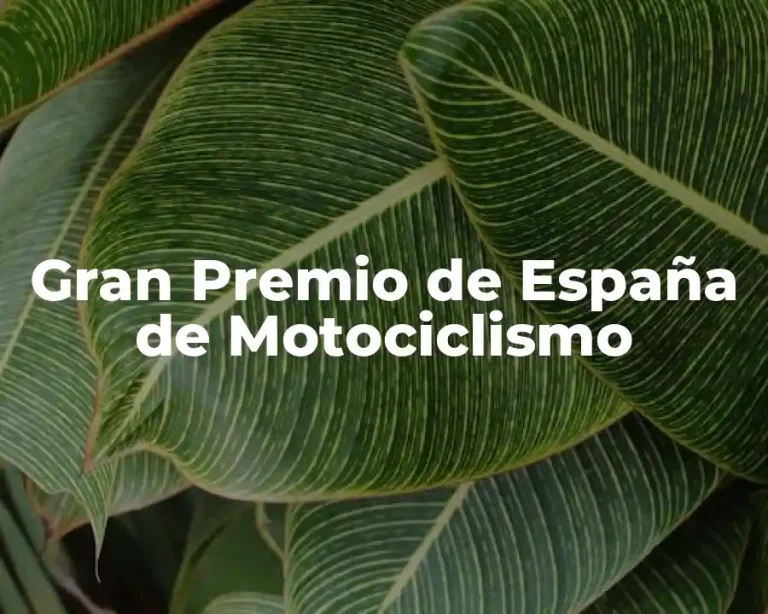 Gran Premio de España de Motociclismo