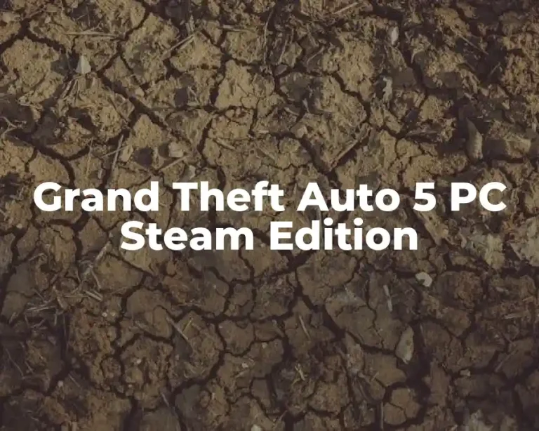 Grand Theft Auto 5 PC Steam Edition