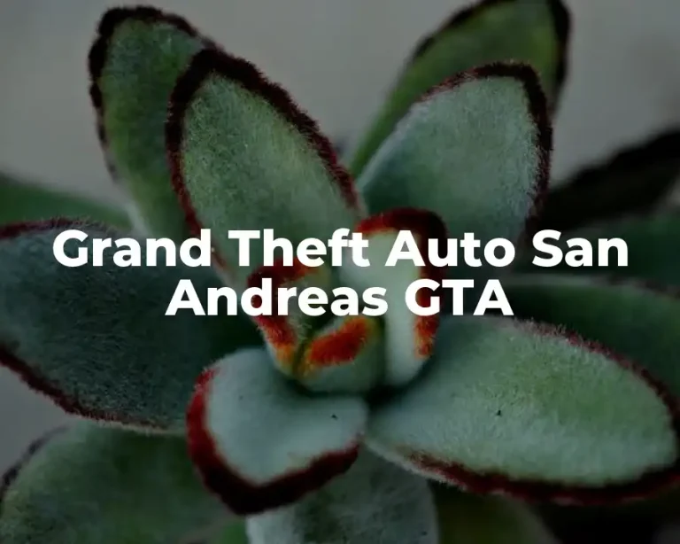 Grand Theft Auto San Andreas GTA