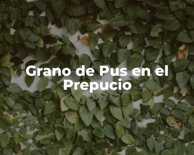 Grano de Pus en el Prepucio