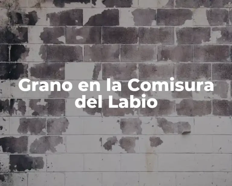 Grano en la Comisura del Labio
