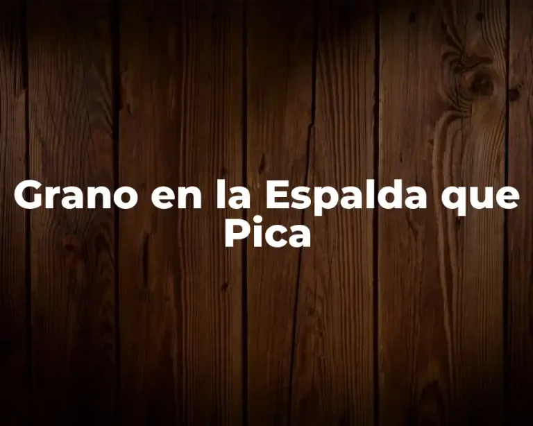 Grano en la Espalda que Pica