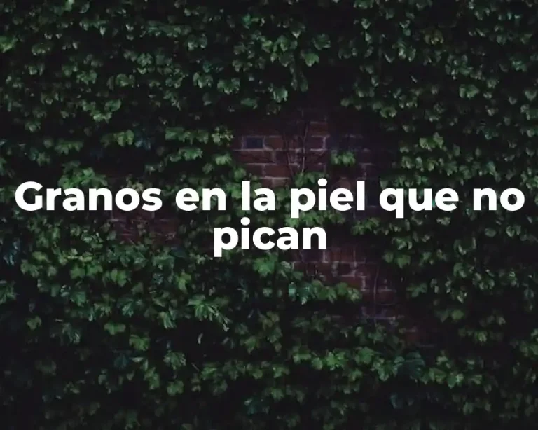 Granos en la piel que no pican