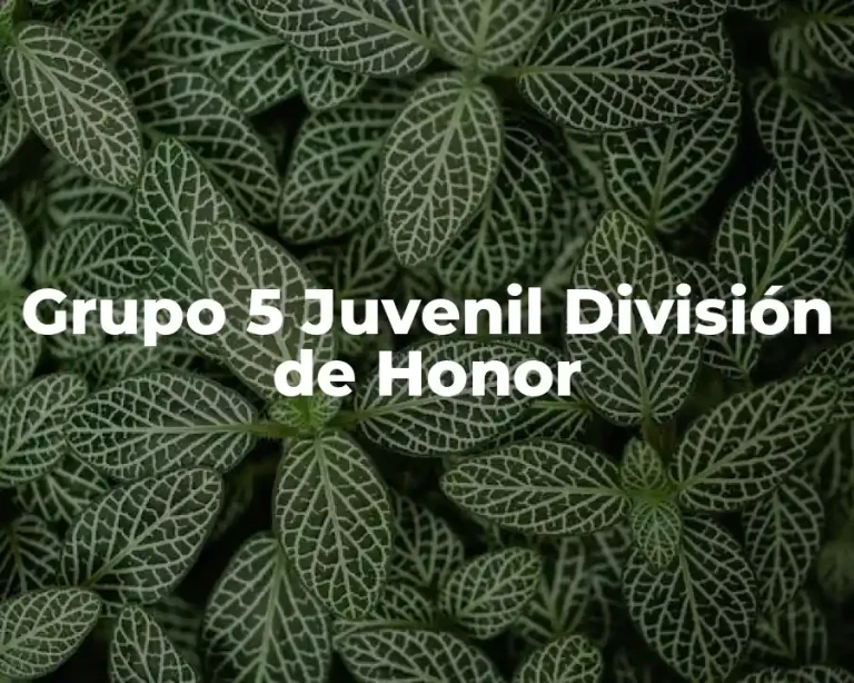 Grupo 5 Juvenil División de Honor