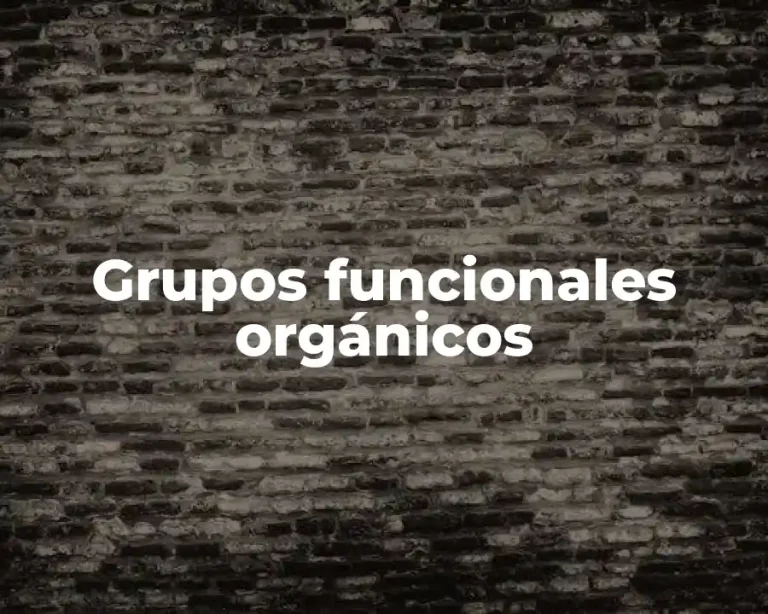 Grupos funcionales orgánicos