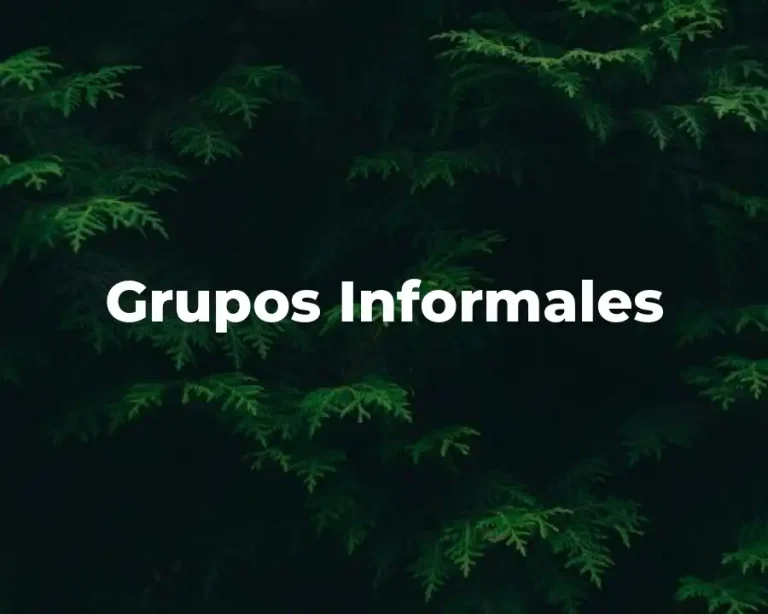 Grupos Informales