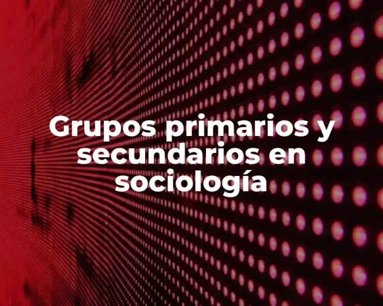 Grupos primarios y secundarios en sociología