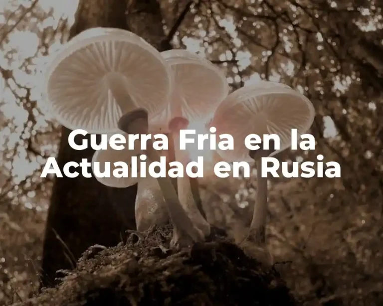 Guerra Fria en la Actualidad en Rusia
