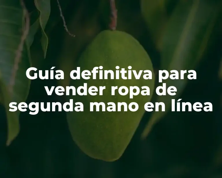 Guía definitiva para vender ropa de segunda mano en línea