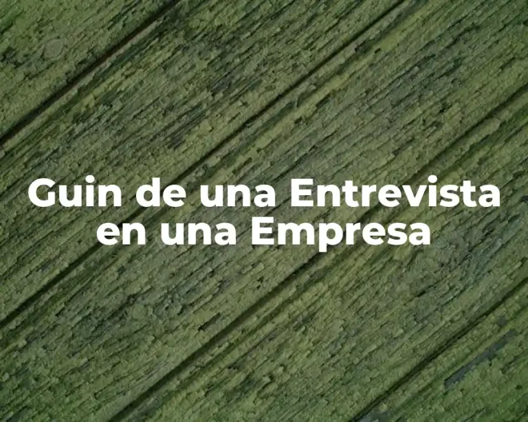 Guin de una Entrevista en una Empresa