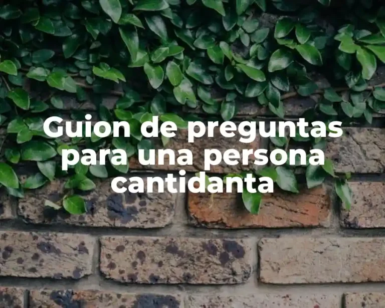 Guion de preguntas para una persona cantidanta