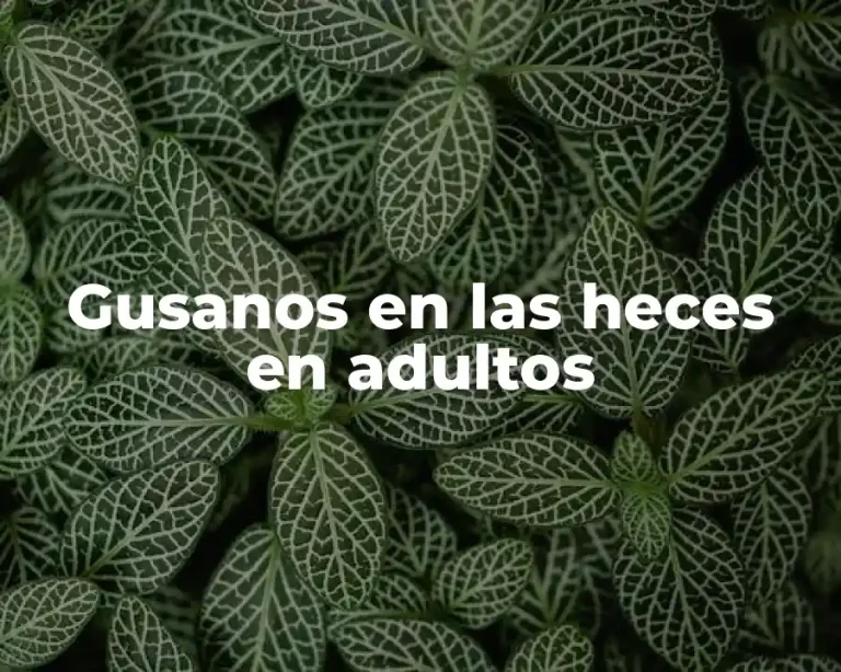 Gusanos en las heces en adultos
