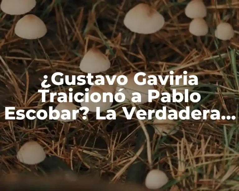 ¿Gustavo Gaviria Traicionó a Pablo Escobar? La Verdadera Historia Detrás de la Traición