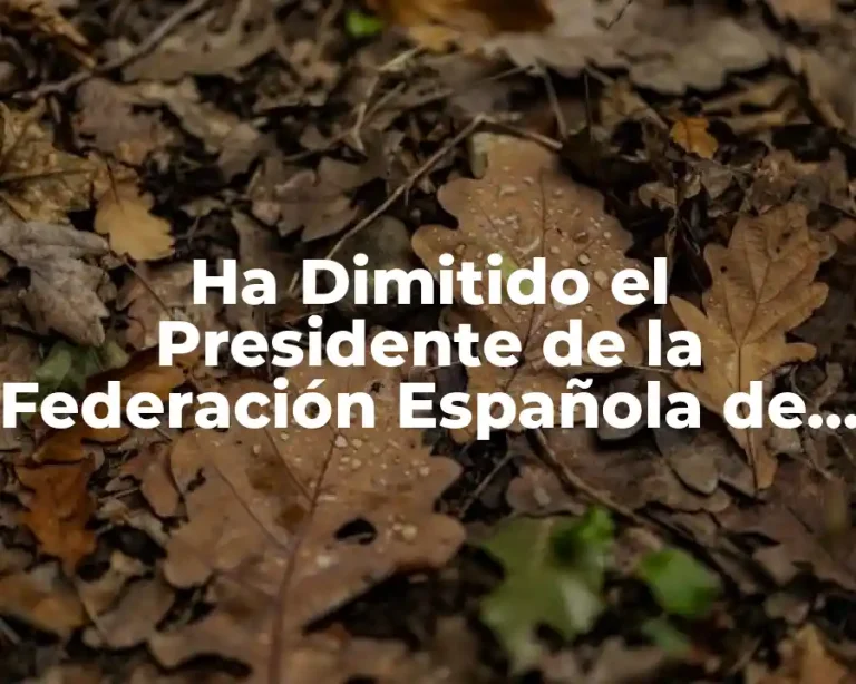 Ha Dimitido el Presidente de la Federación Española de Fútbol