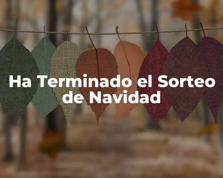 Ha Terminado el Sorteo de Navidad