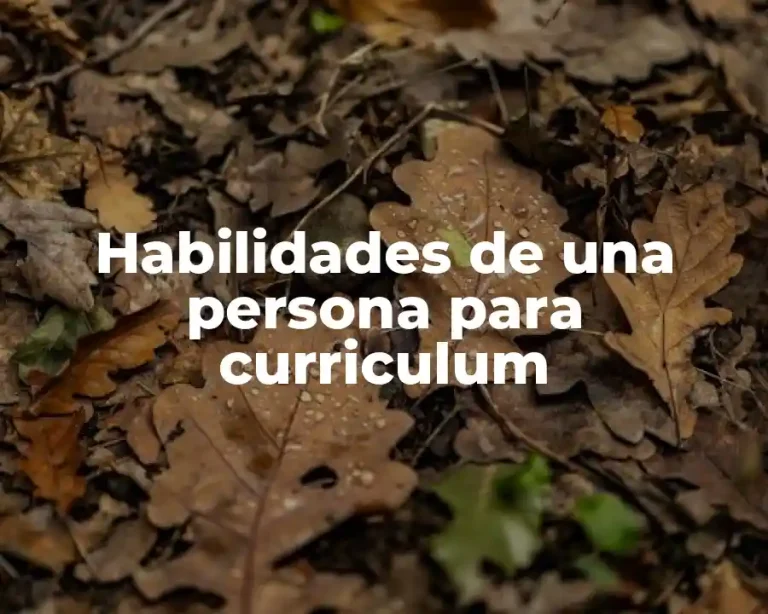 Habilidades de una persona para curriculum