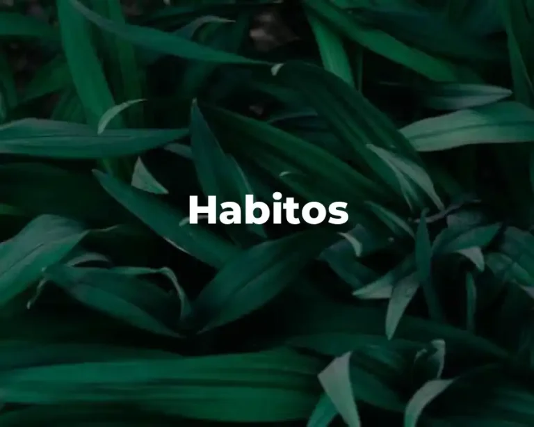 Habitos