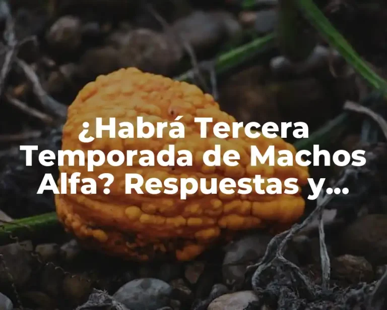 ¿Habrá Tercera Temporada de Machos Alfa? Respuestas y Rumores