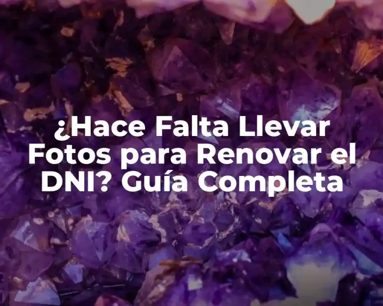 ¿Hace Falta Llevar Fotos para Renovar el DNI? Guía Completa