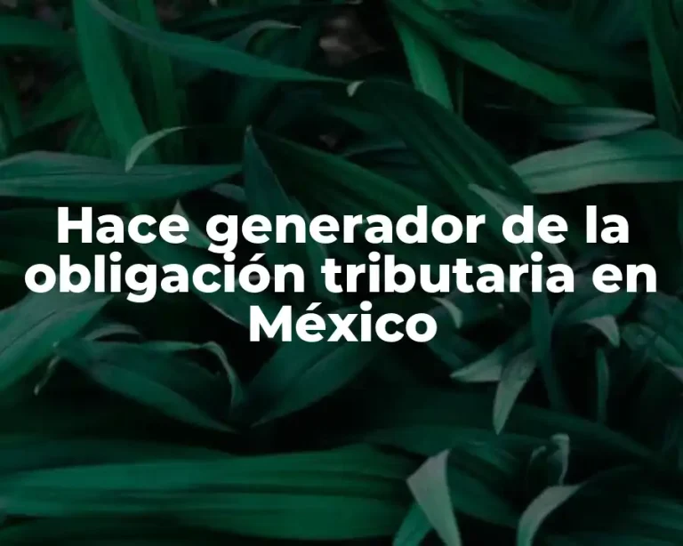 Hace generador de la obligación tributaria en México