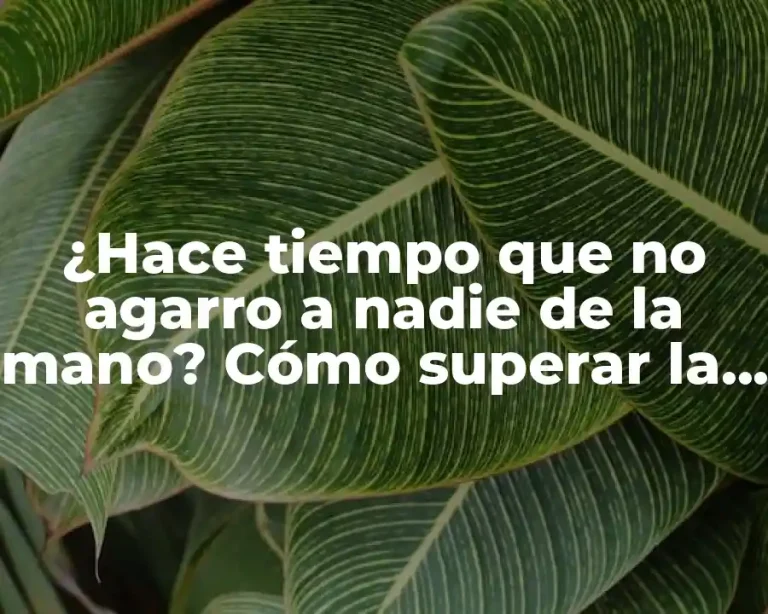 ¿Hace tiempo que no agarro a nadie de la mano? Cómo superar la falta de contacto físico en las relaciones
