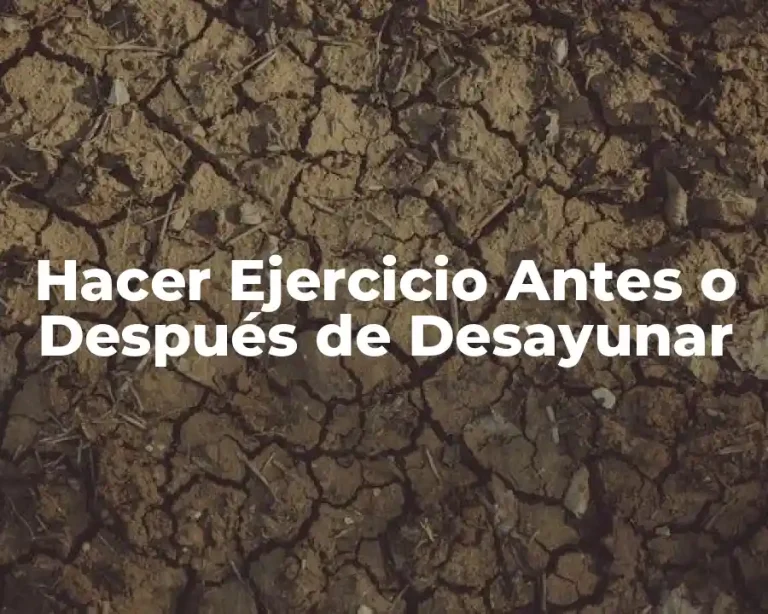 Hacer Ejercicio Antes o Después de Desayunar