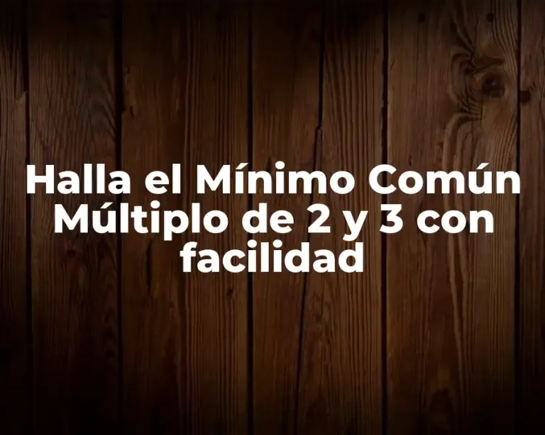 Halla el Mínimo Común Múltiplo de 2 y 3 con facilidad