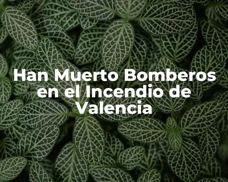 Han Muerto Bomberos en el Incendio de Valencia
