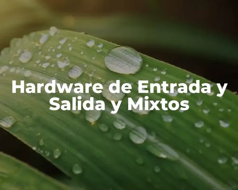 Hardware de Entrada y Salida y Mixtos