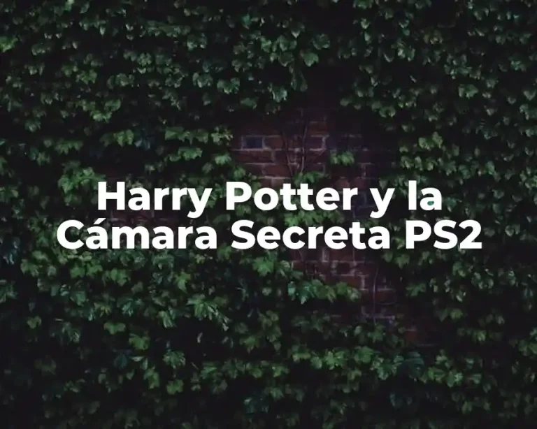 Harry Potter y la Cámara Secreta PS2