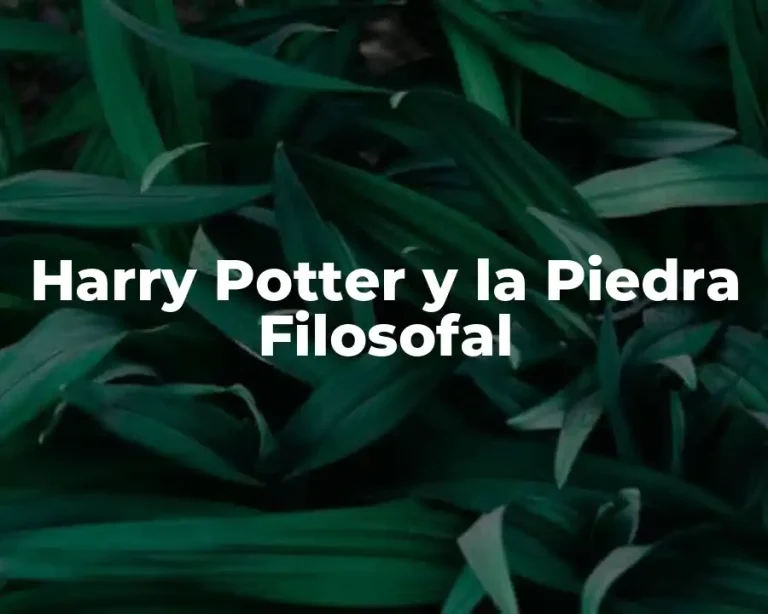 Harry Potter y la Piedra Filosofal