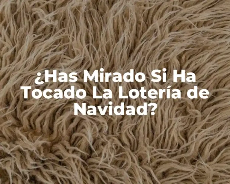 ¿Has Mirado Si Ha Tocado La Lotería de Navidad?