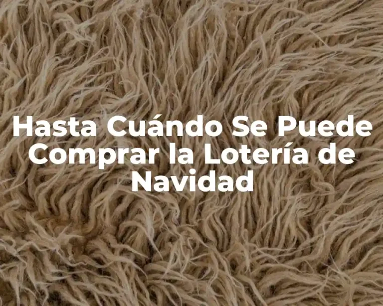 Hasta Cuándo Se Puede Comprar la Lotería de Navidad