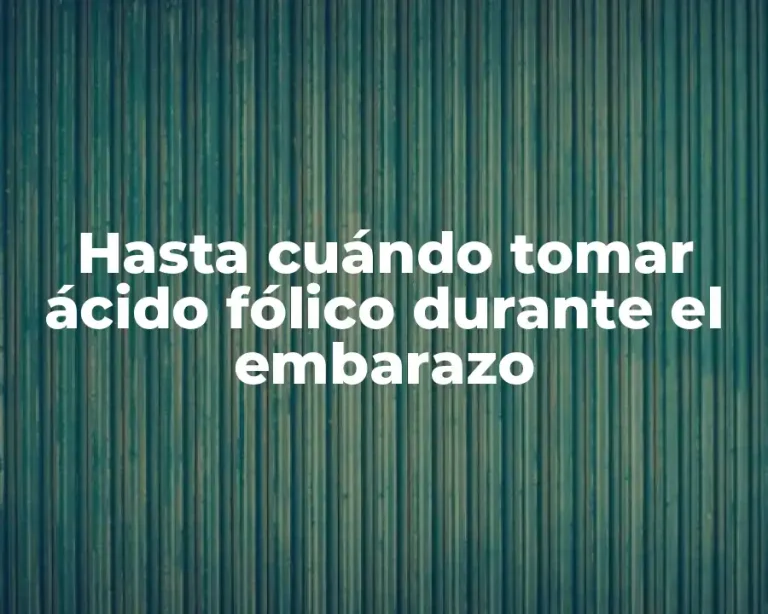 Hasta cuándo tomar ácido fólico durante el embarazo
