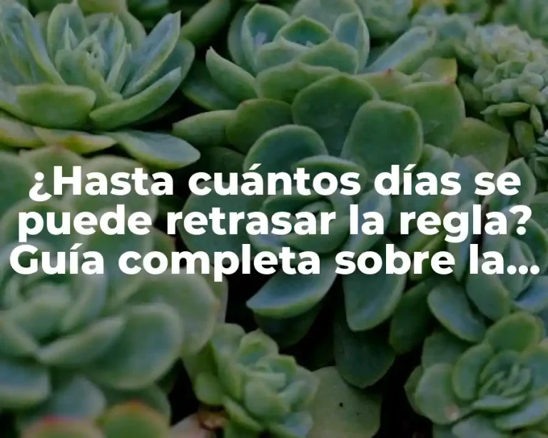 ¿Hasta cuántos días se puede retrasar la regla? Guía completa sobre la demora menstrual