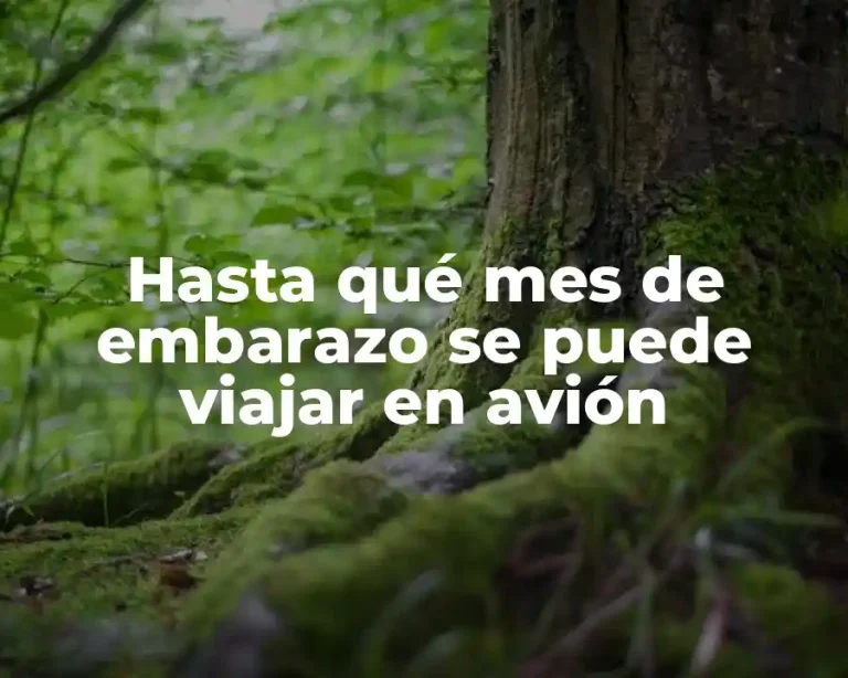 Hasta qué mes de embarazo se puede viajar en avión