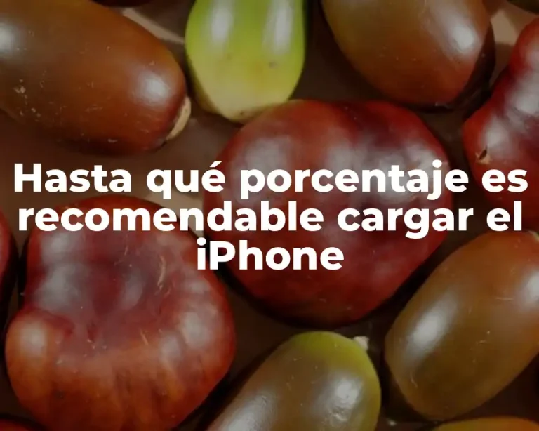 Hasta qué porcentaje es recomendable cargar el iPhone