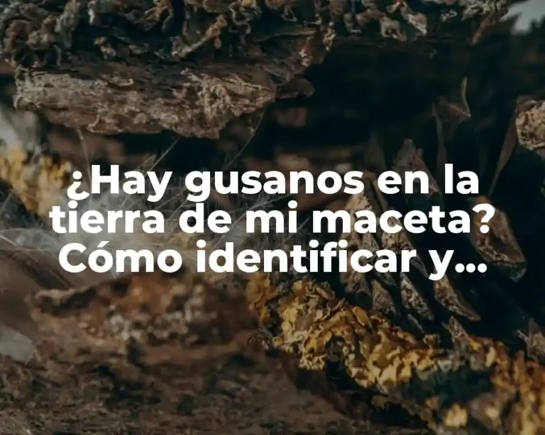¿Hay gusanos en la tierra de mi maceta? Cómo identificar y controlar plagas en su jardín interior