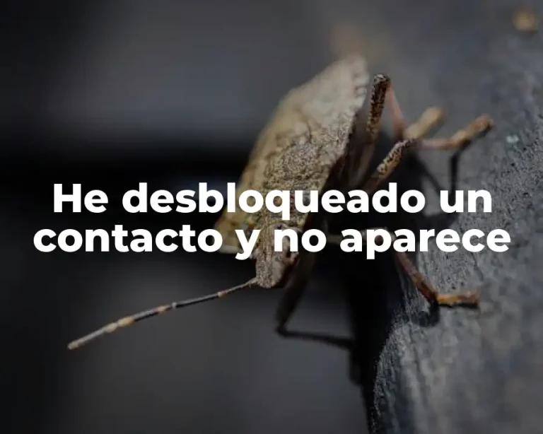 He desbloqueado un contacto y no aparece