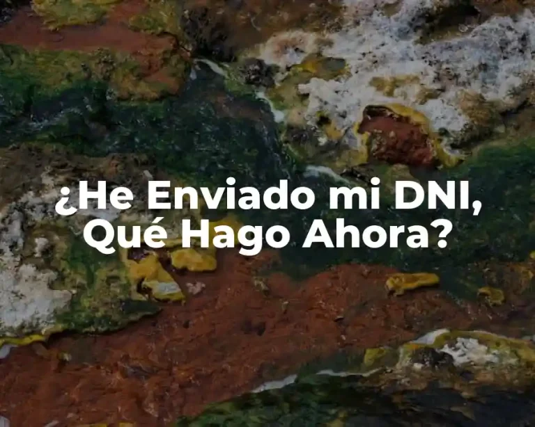 ¿He Enviado mi DNI, Qué Hago Ahora?